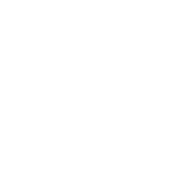 Reversed white Finta logo